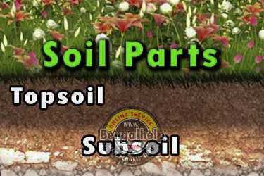 Soil - Questions and Answers - Class 4 Science-181-9253191519.jpg
